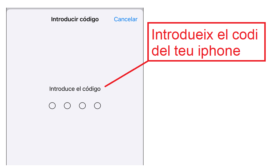 Introdueix el codi del teu iphone