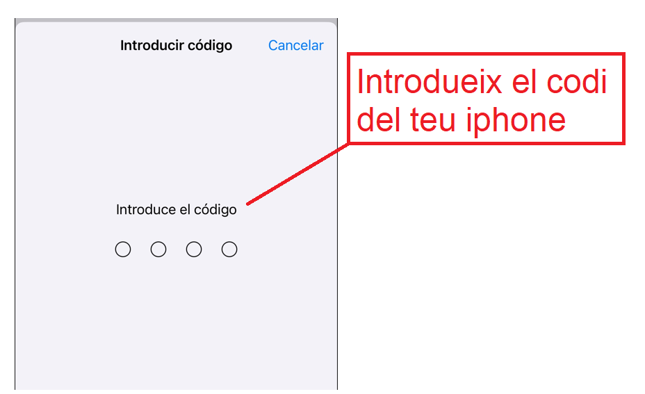Inserisci il codice del tuo iPhone.